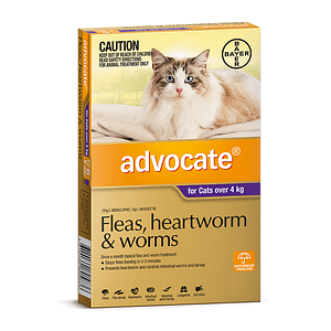 Advocate for Cats over 4kg