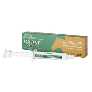 Equest Plus Tape Dewormer, Boticide and Tapeworm Treatment for Horses