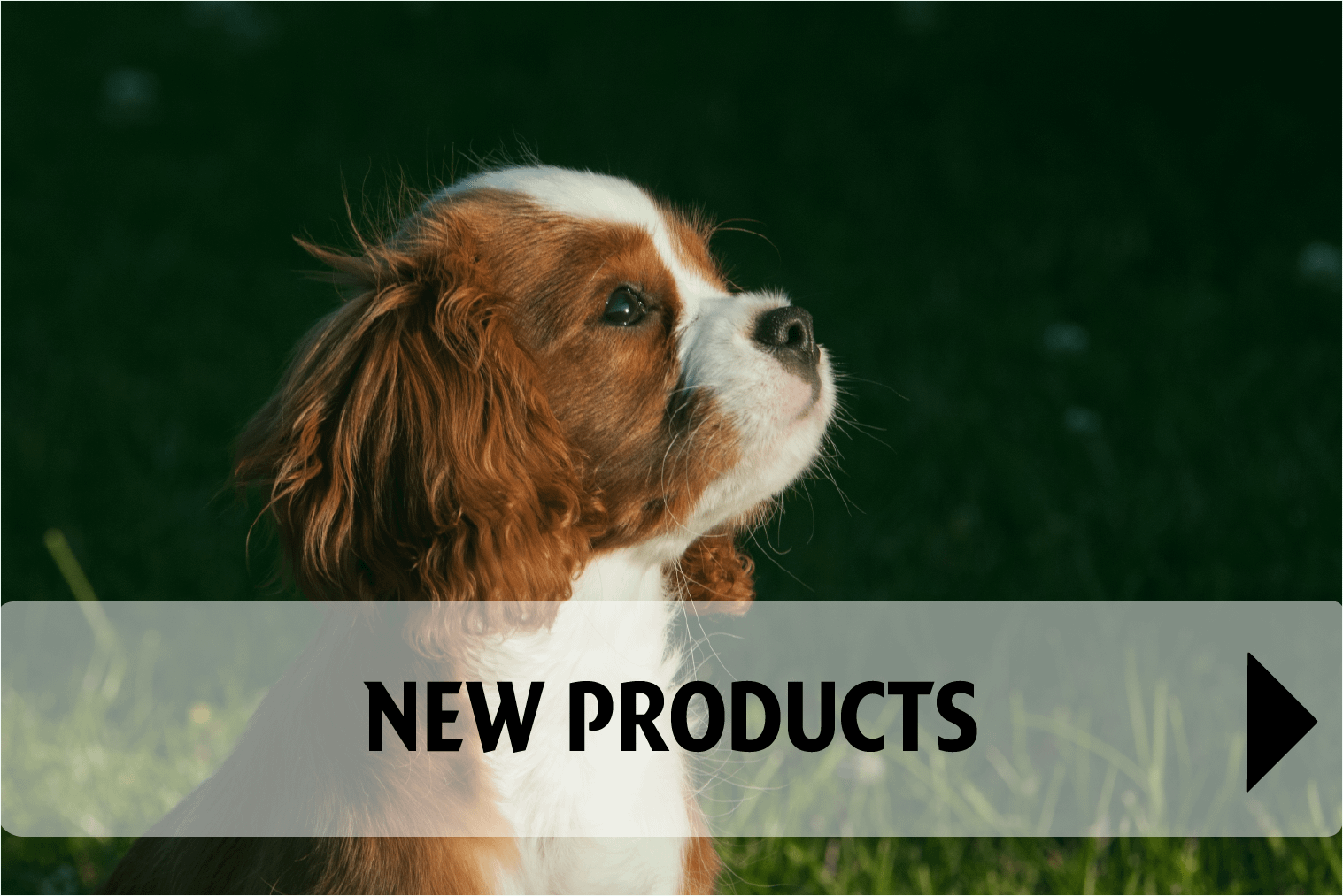 new products
