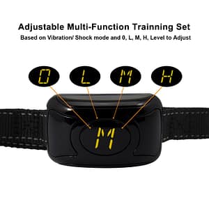Adjustable Multi-Function Training Set