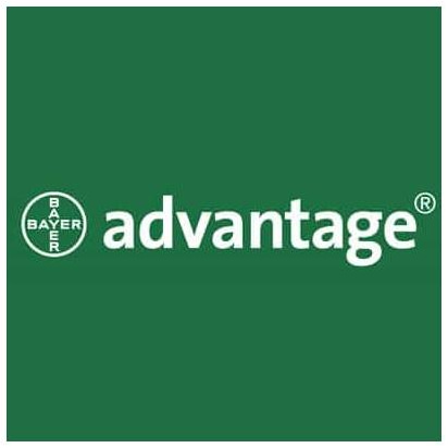 advantage brand